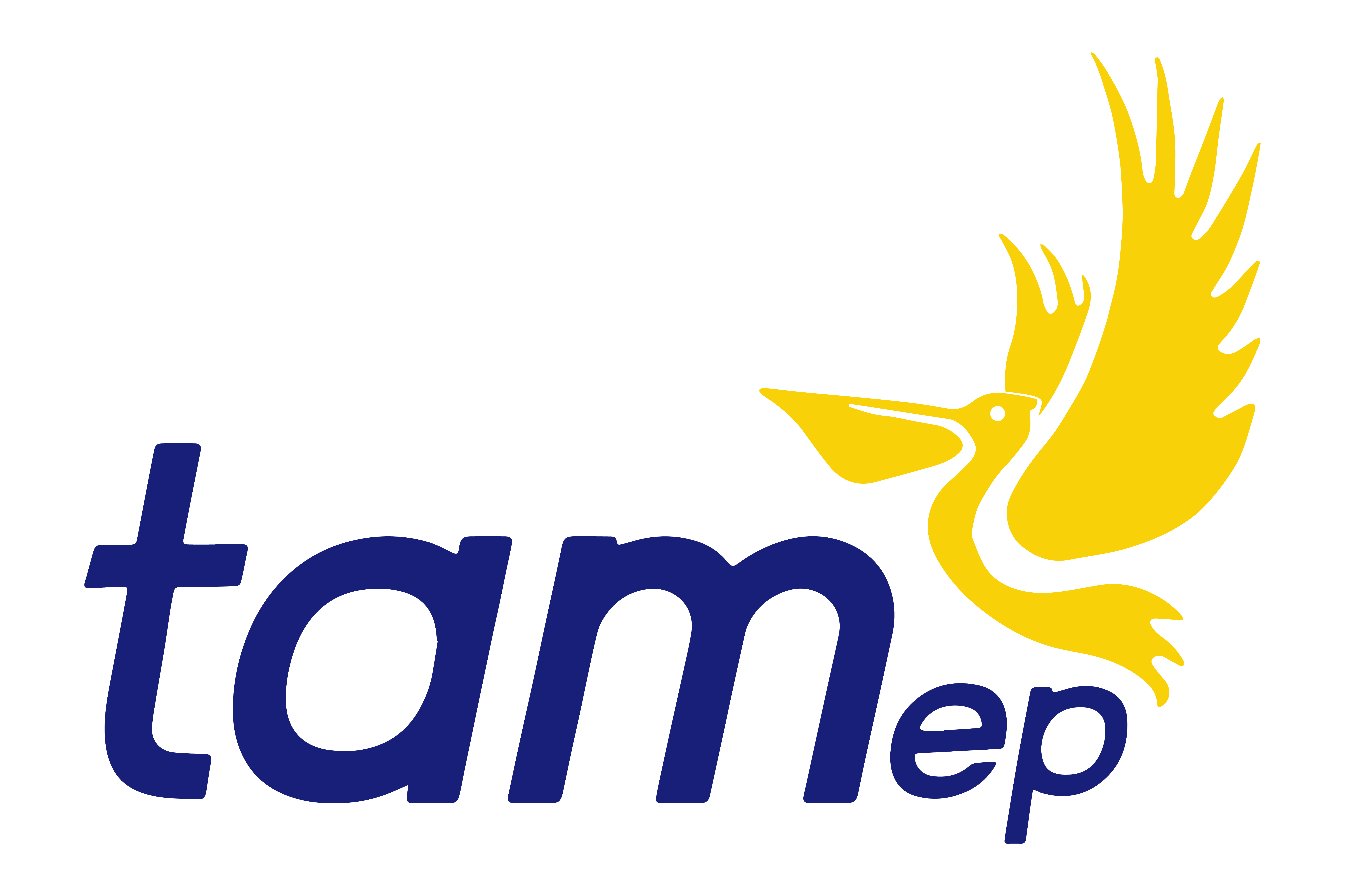 TAMEP